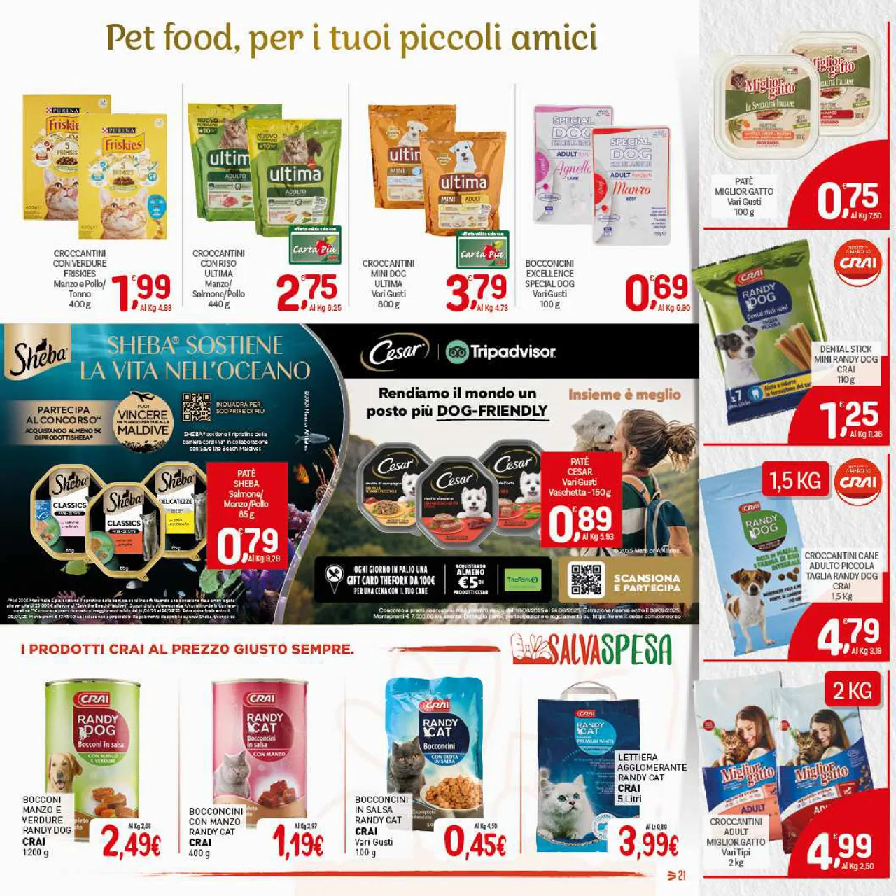 Pagina 21