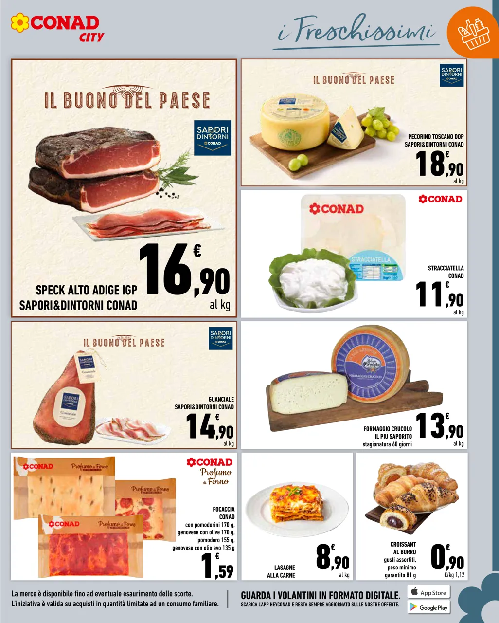 Pagina 5