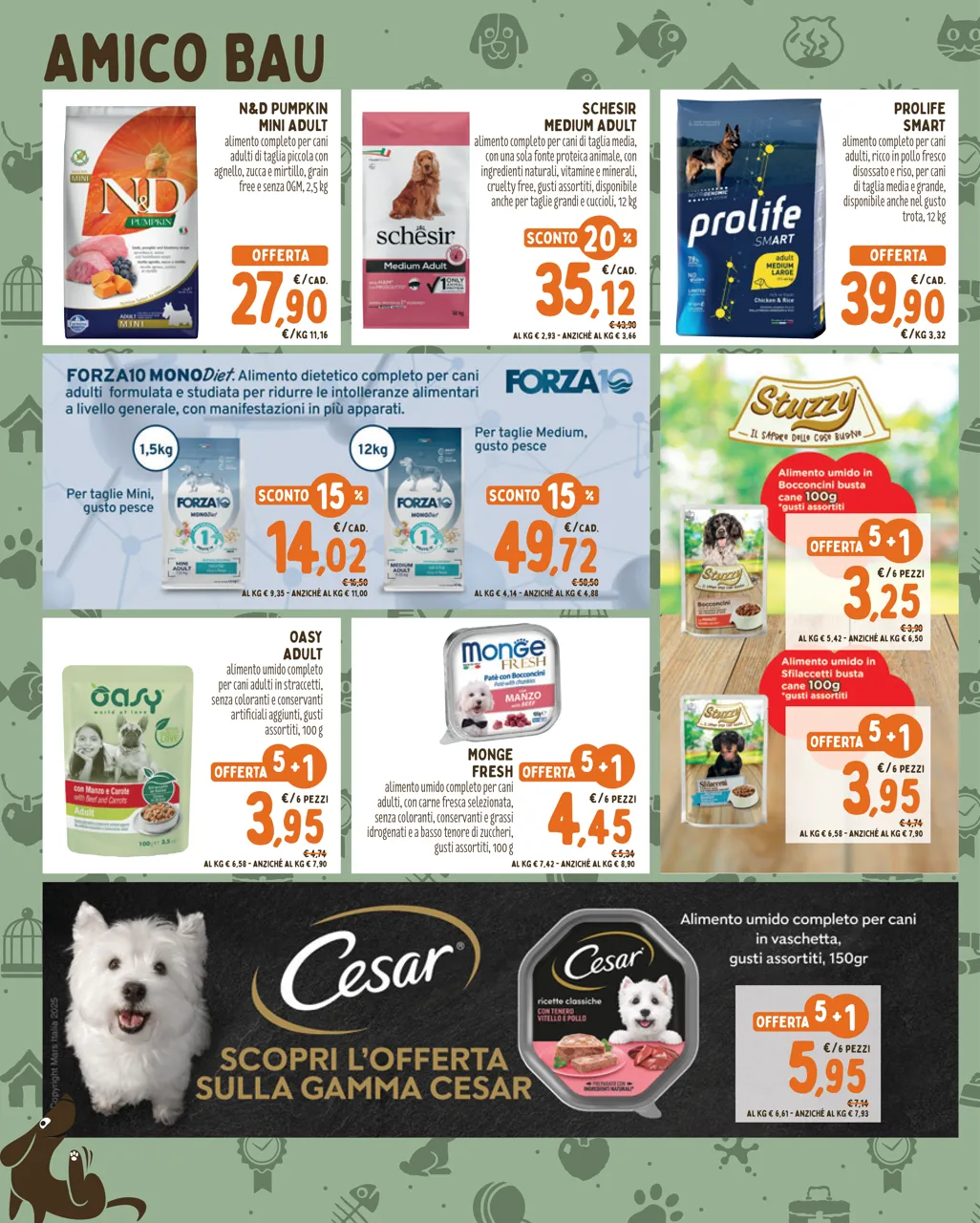 Pagina 2
