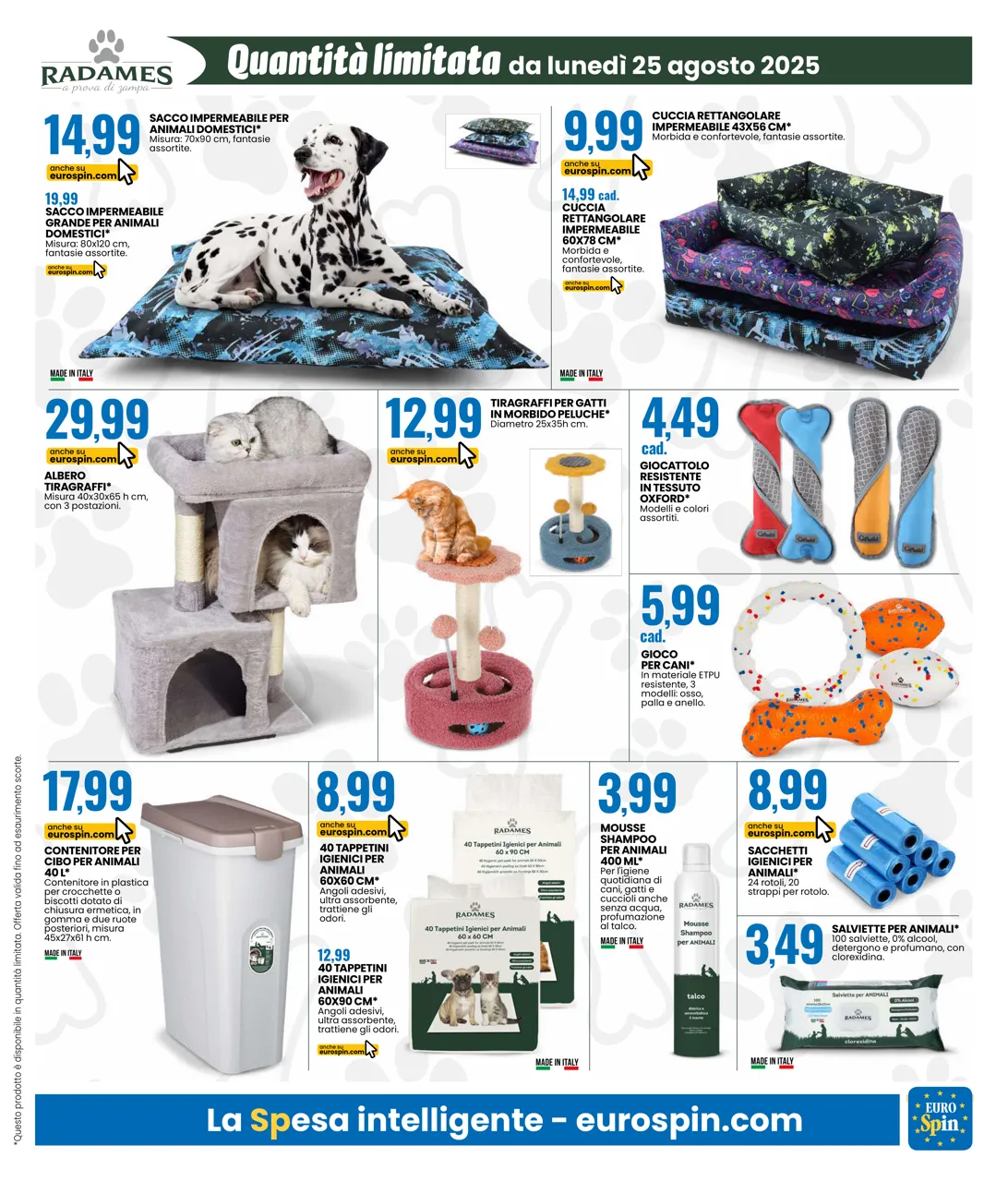 Pagina 17