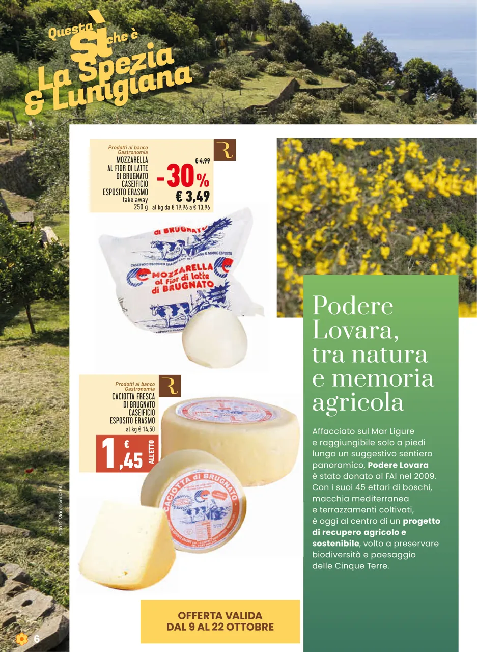 Pagina 6