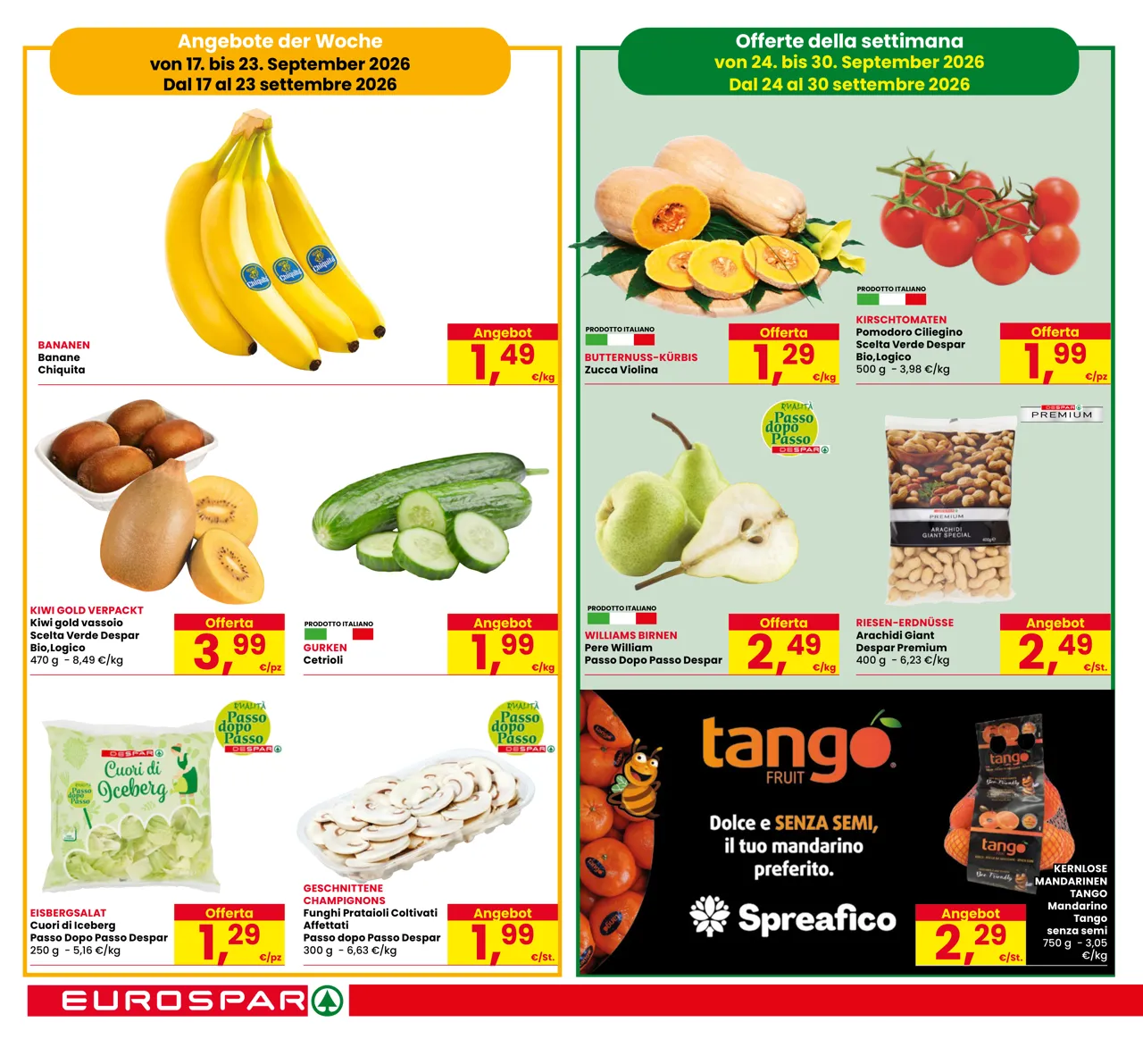 Pagina 6