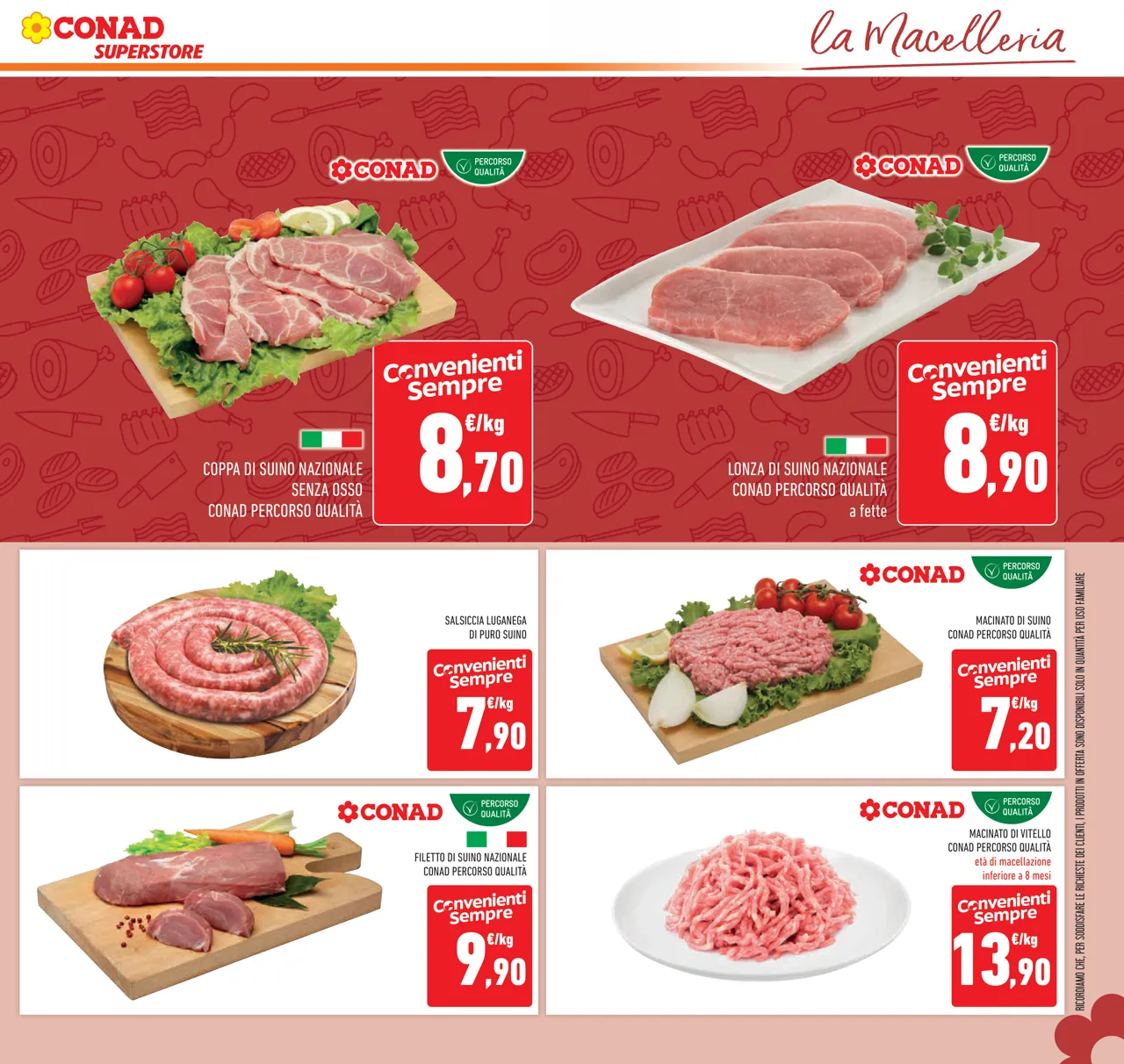 Pagina 13
