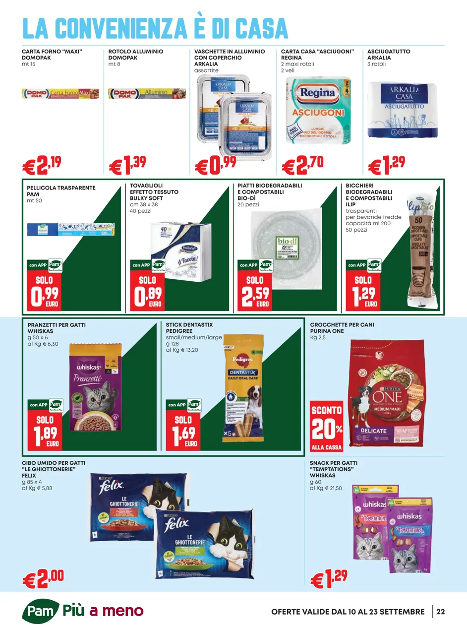 Pagina 22
