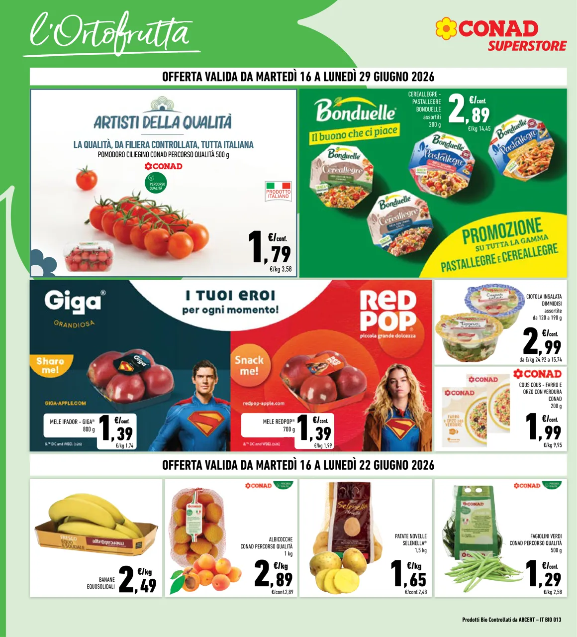Pagina 6