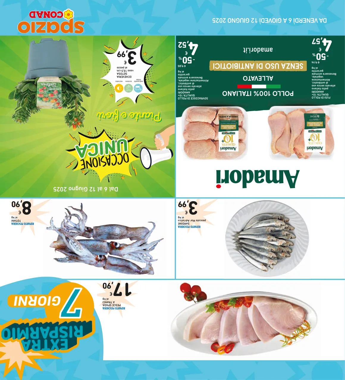 Pagina 36