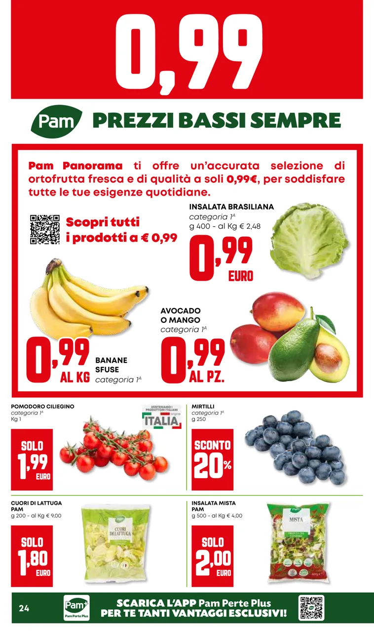 Pagina 24