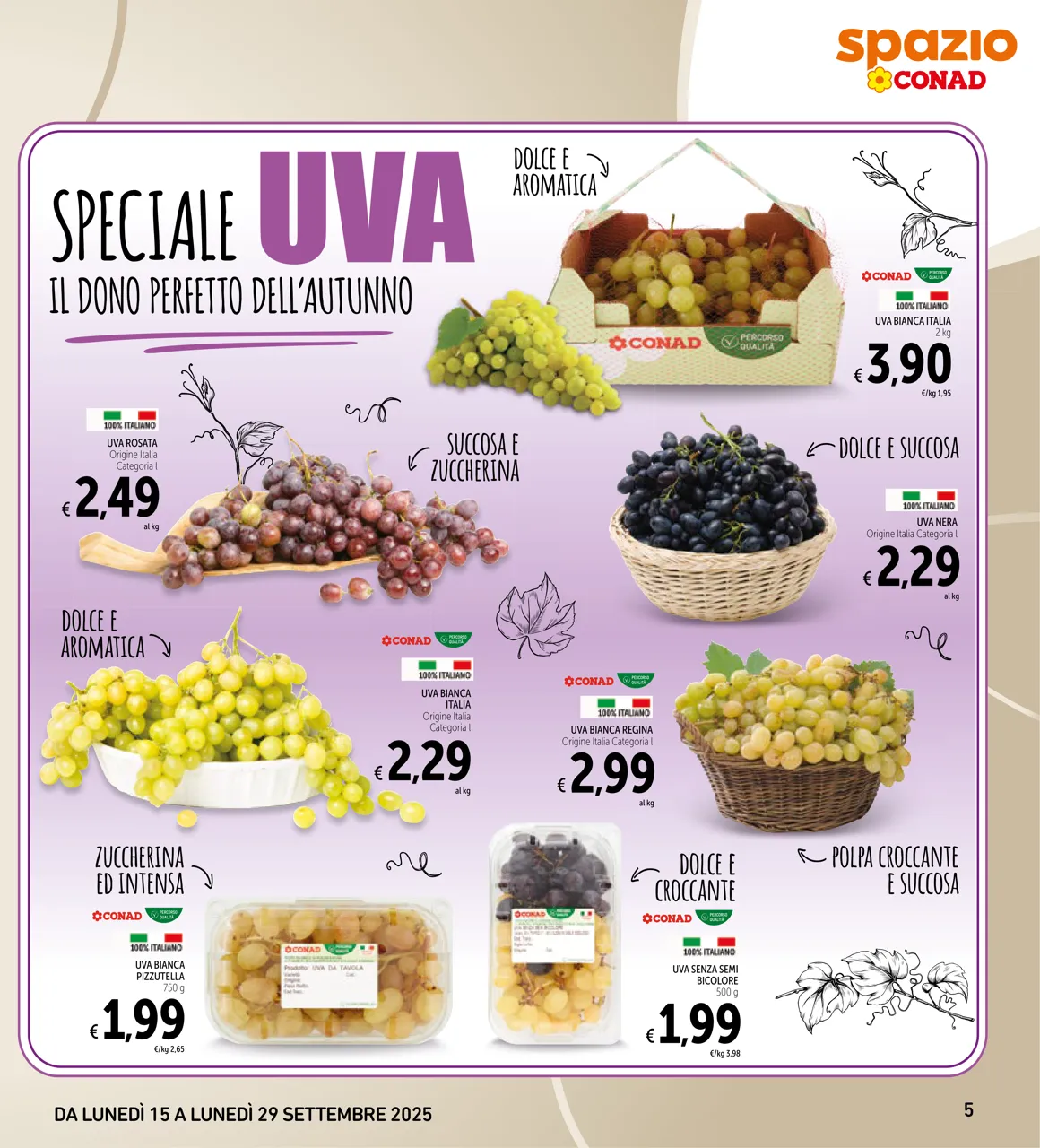 Pagina 5