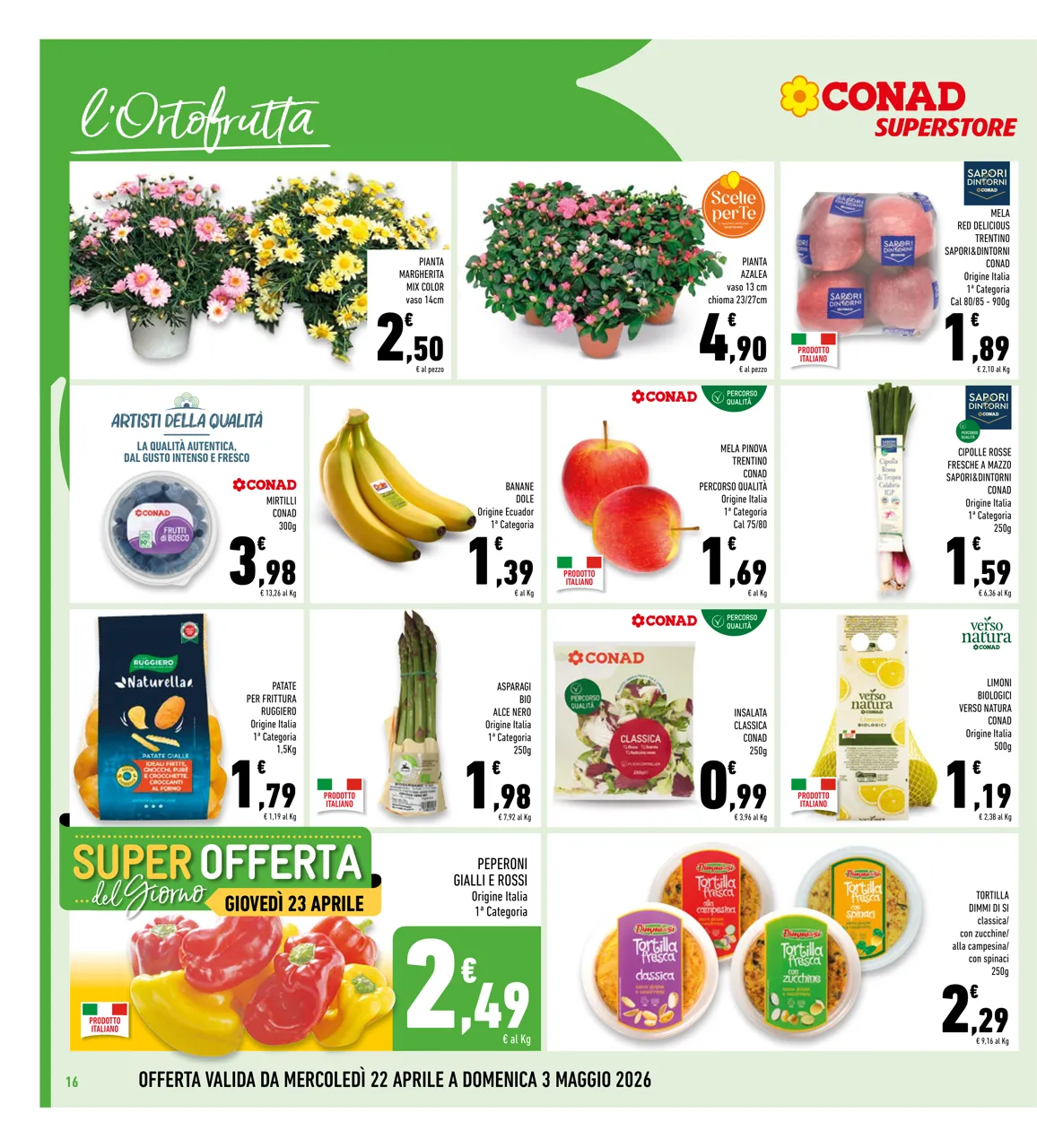 Pagina 16