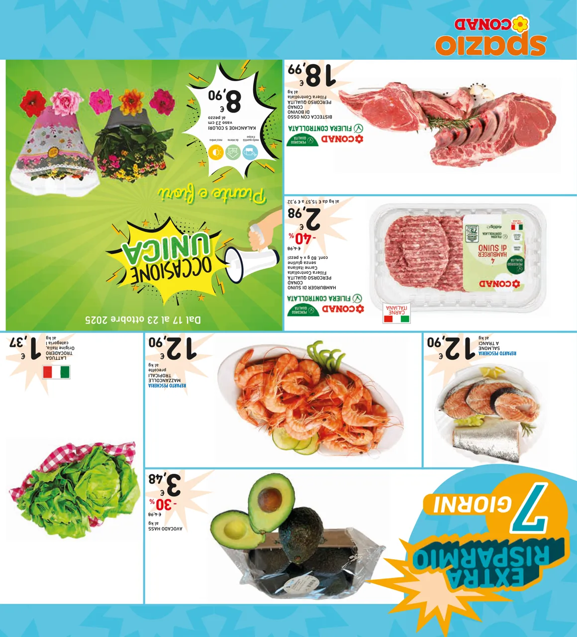 Pagina 36