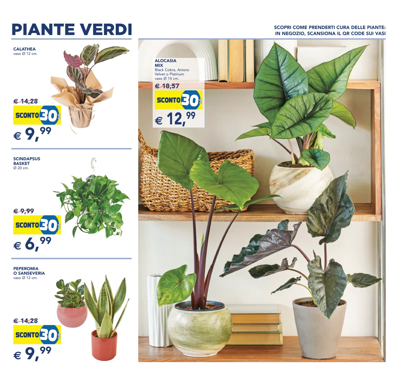 Pagina 9