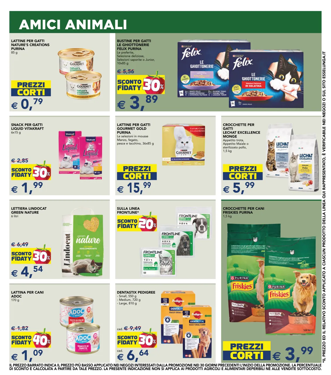 Pagina 19