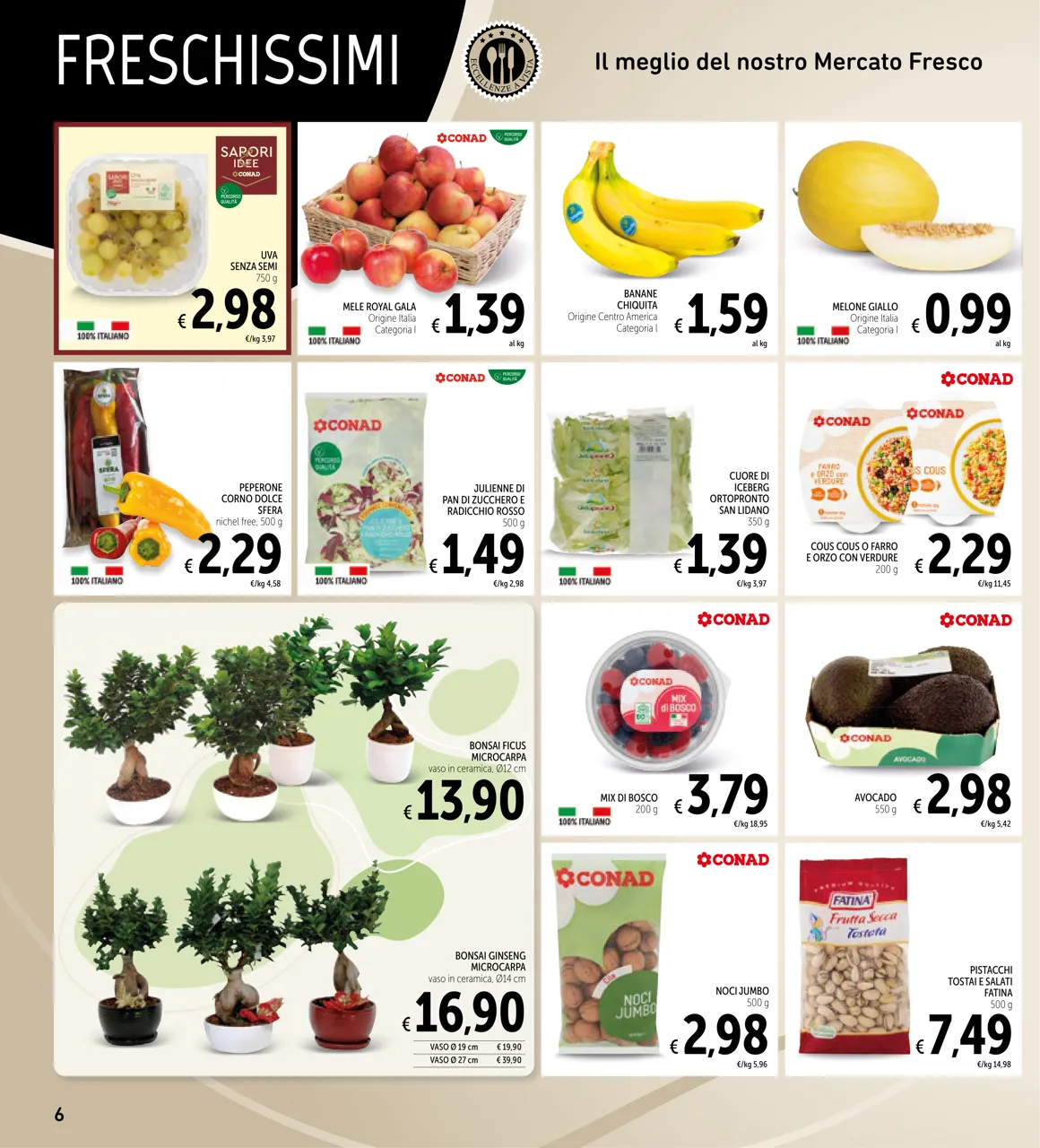 Pagina 6