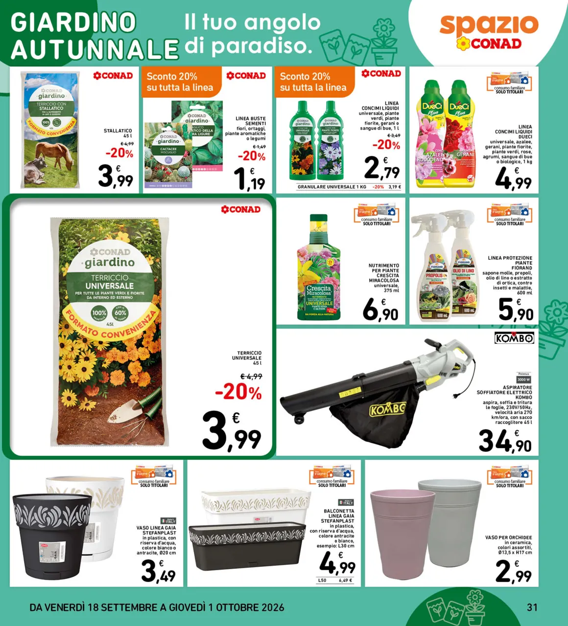 Pagina 31