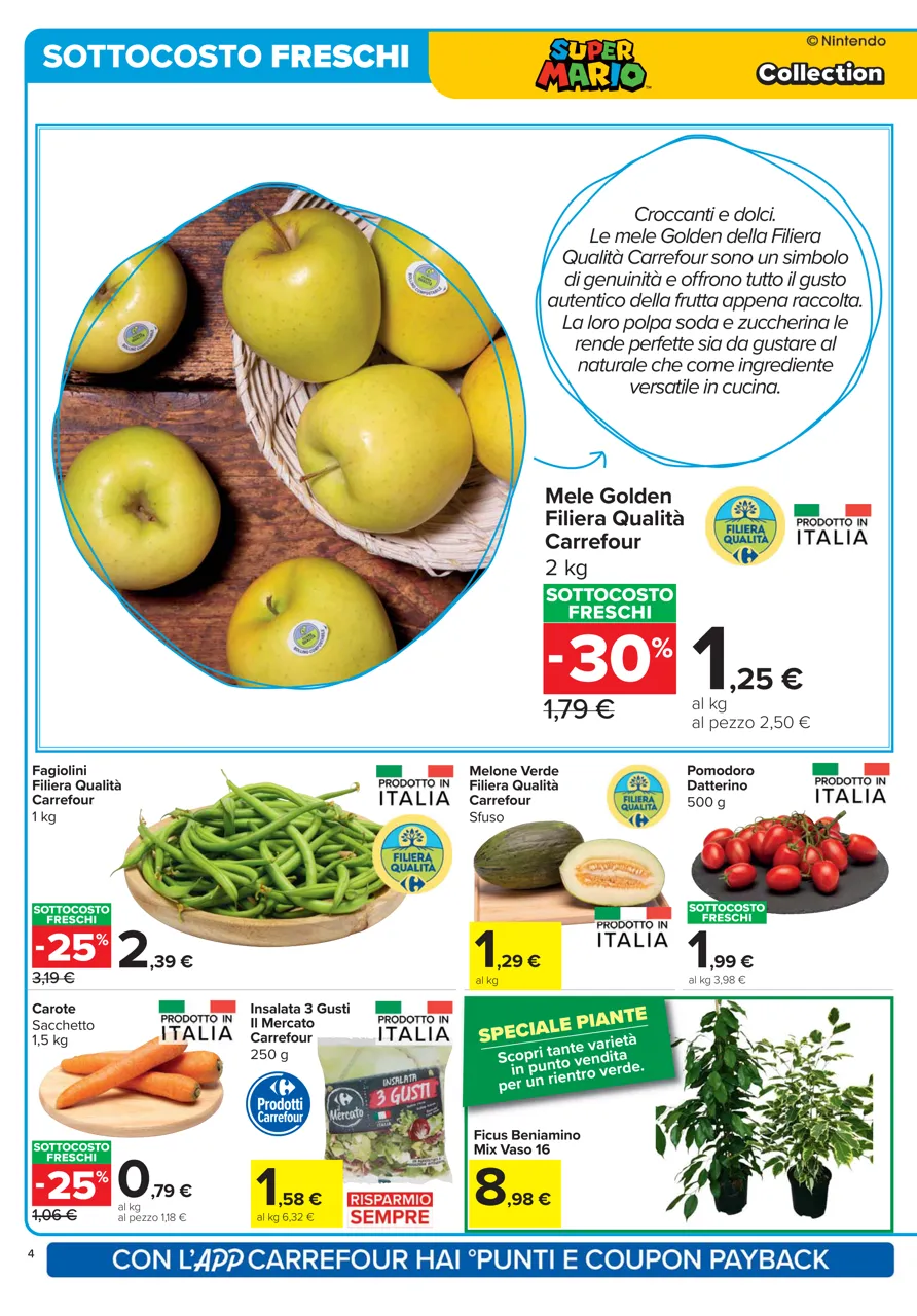 Pagina 4