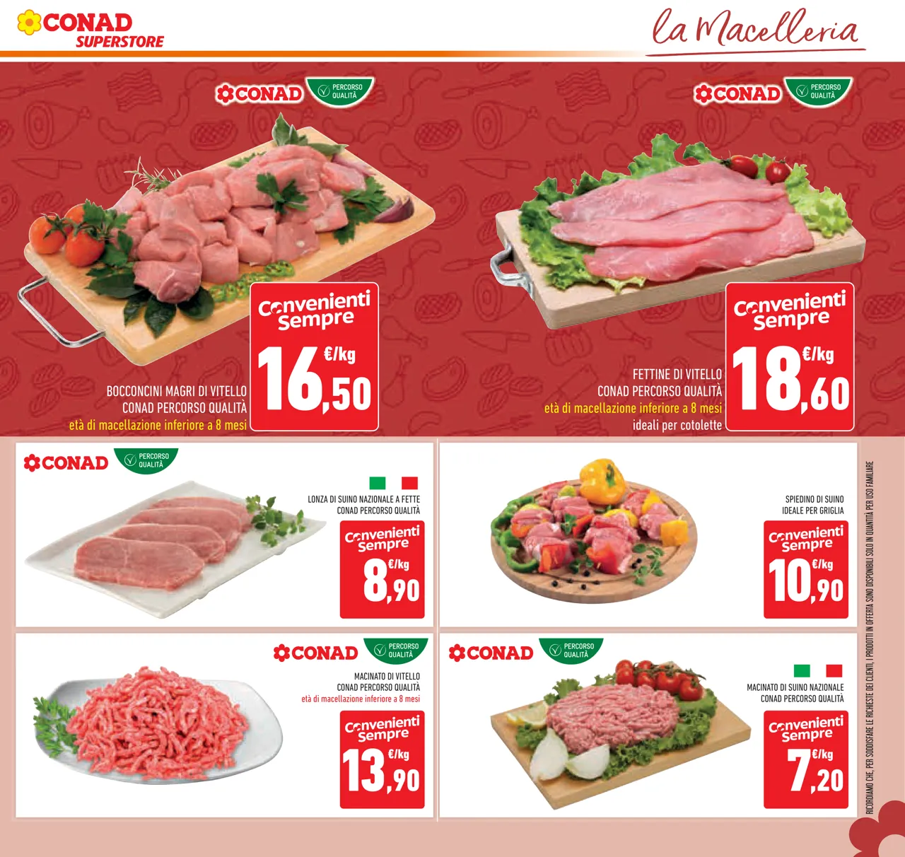 Pagina 11