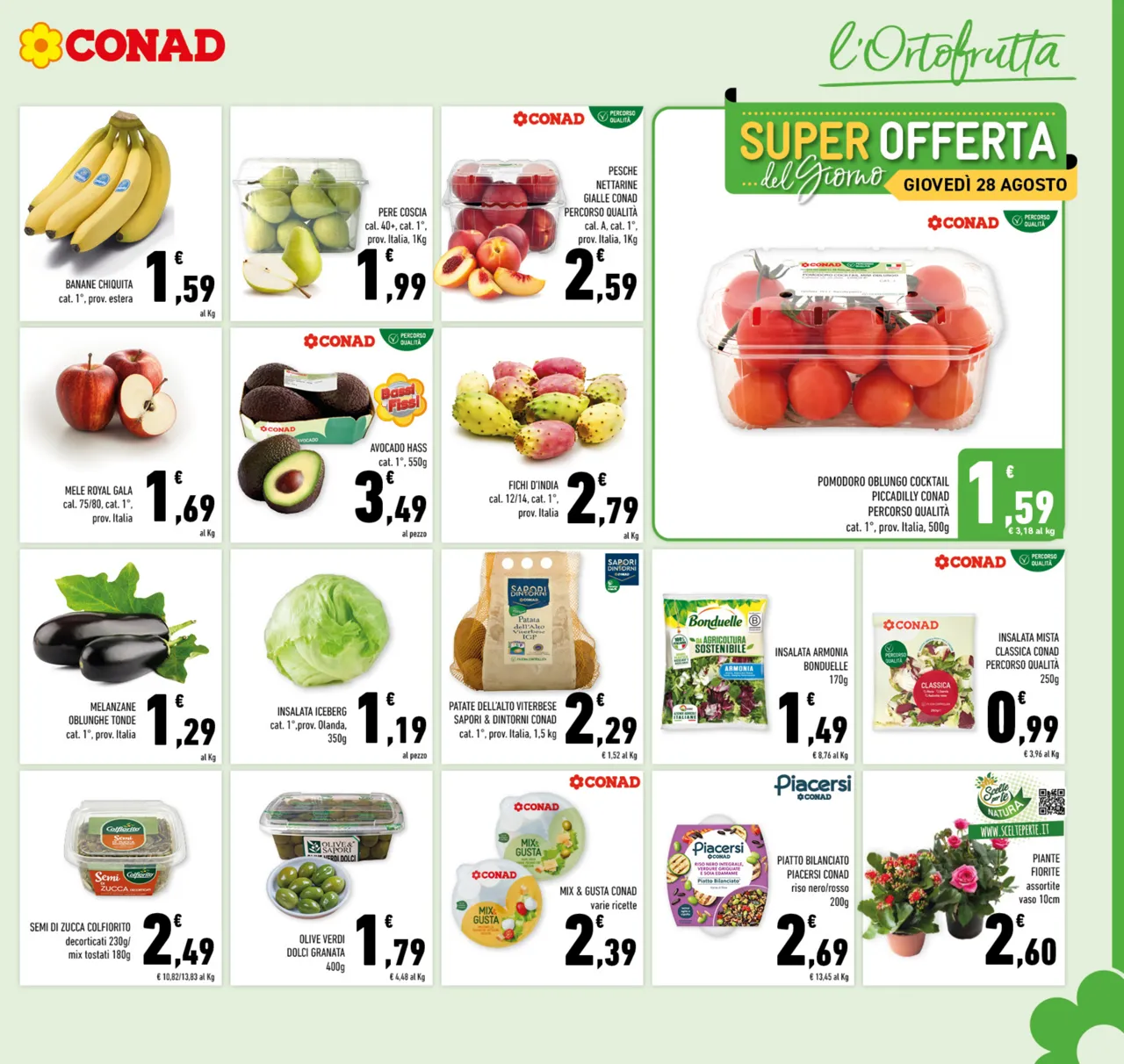 Pagina 5