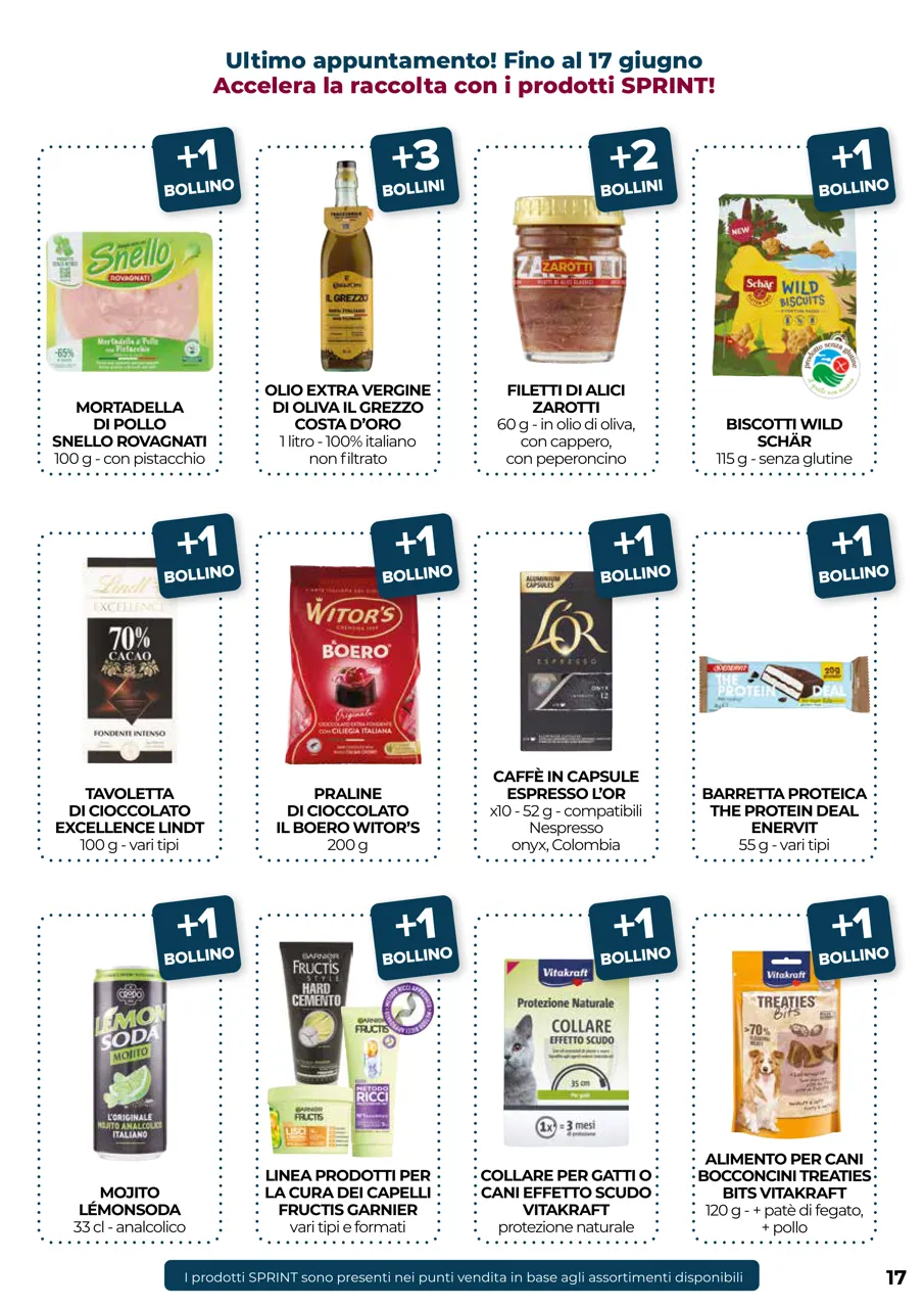 Pagina 17