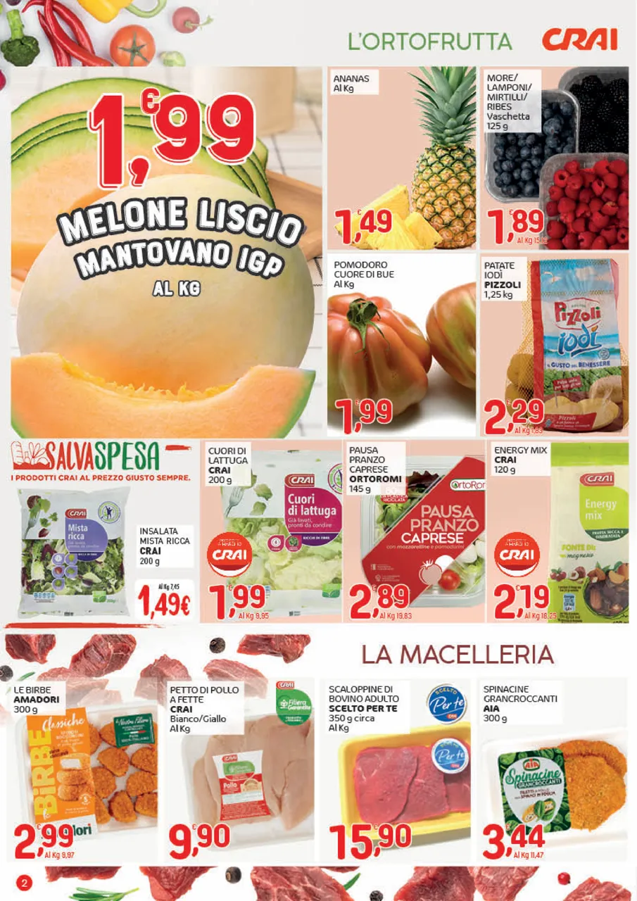 Pagina 2