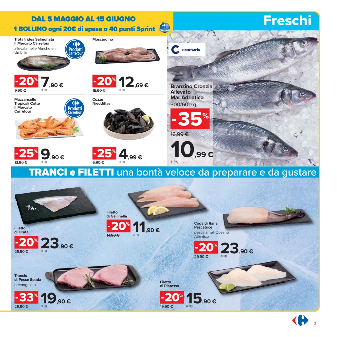 Pagina 3