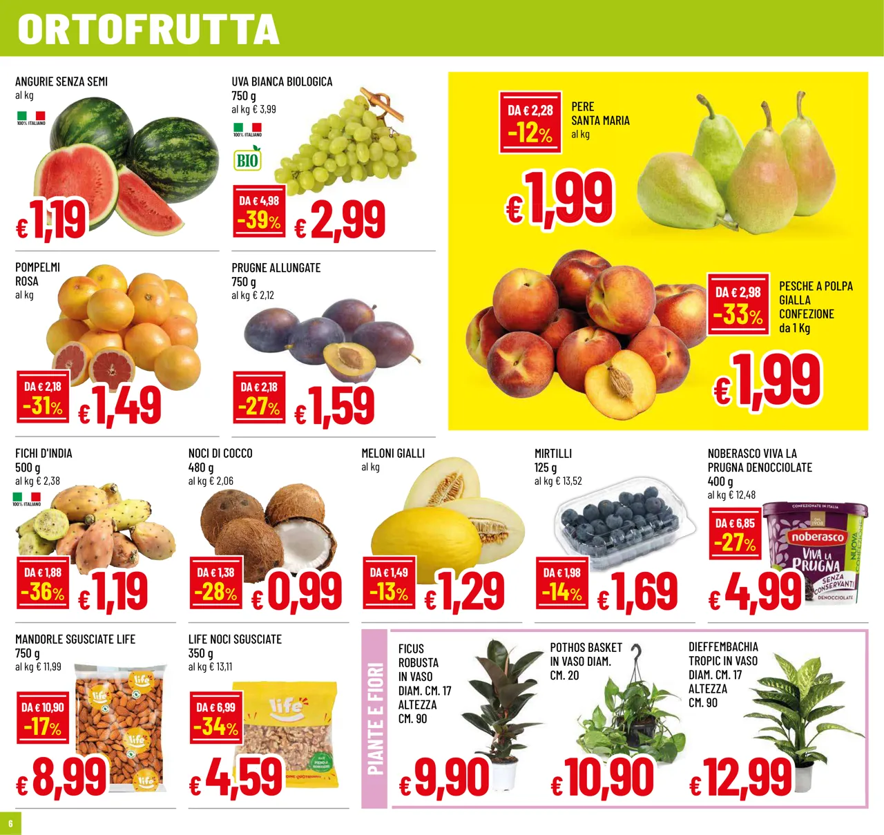 Pagina 6