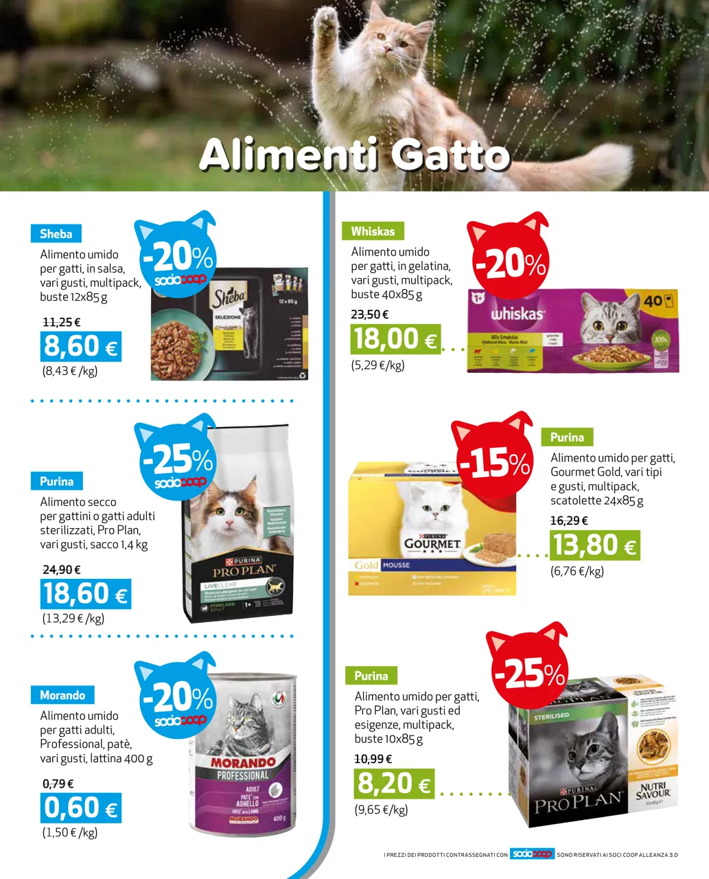 Pagina 4