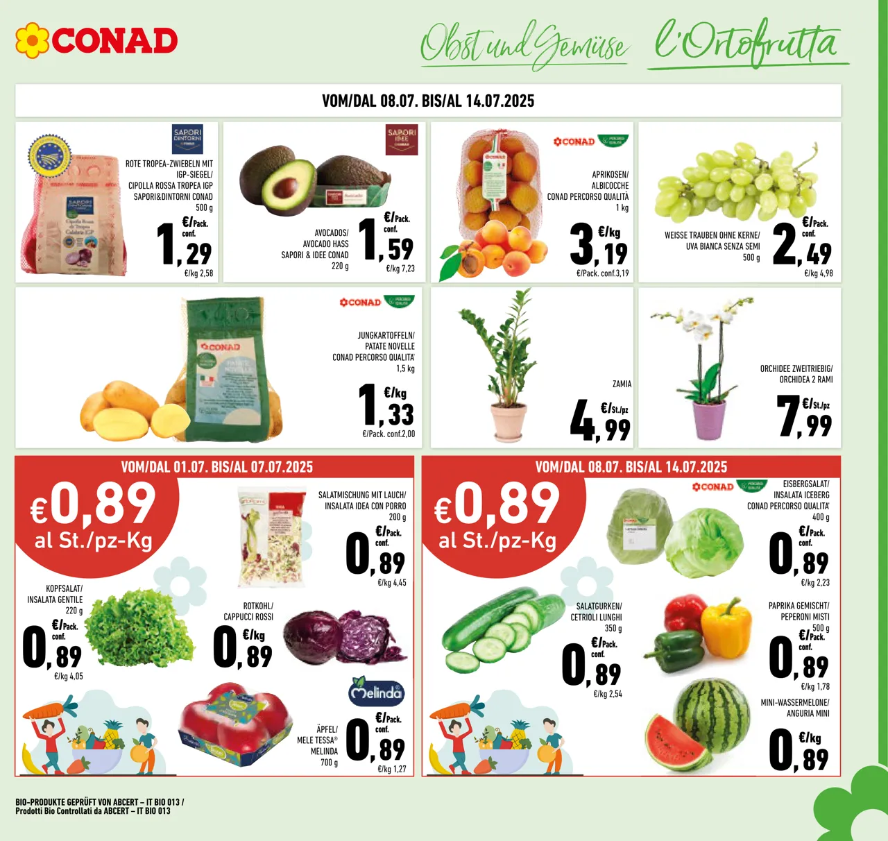 Pagina 3