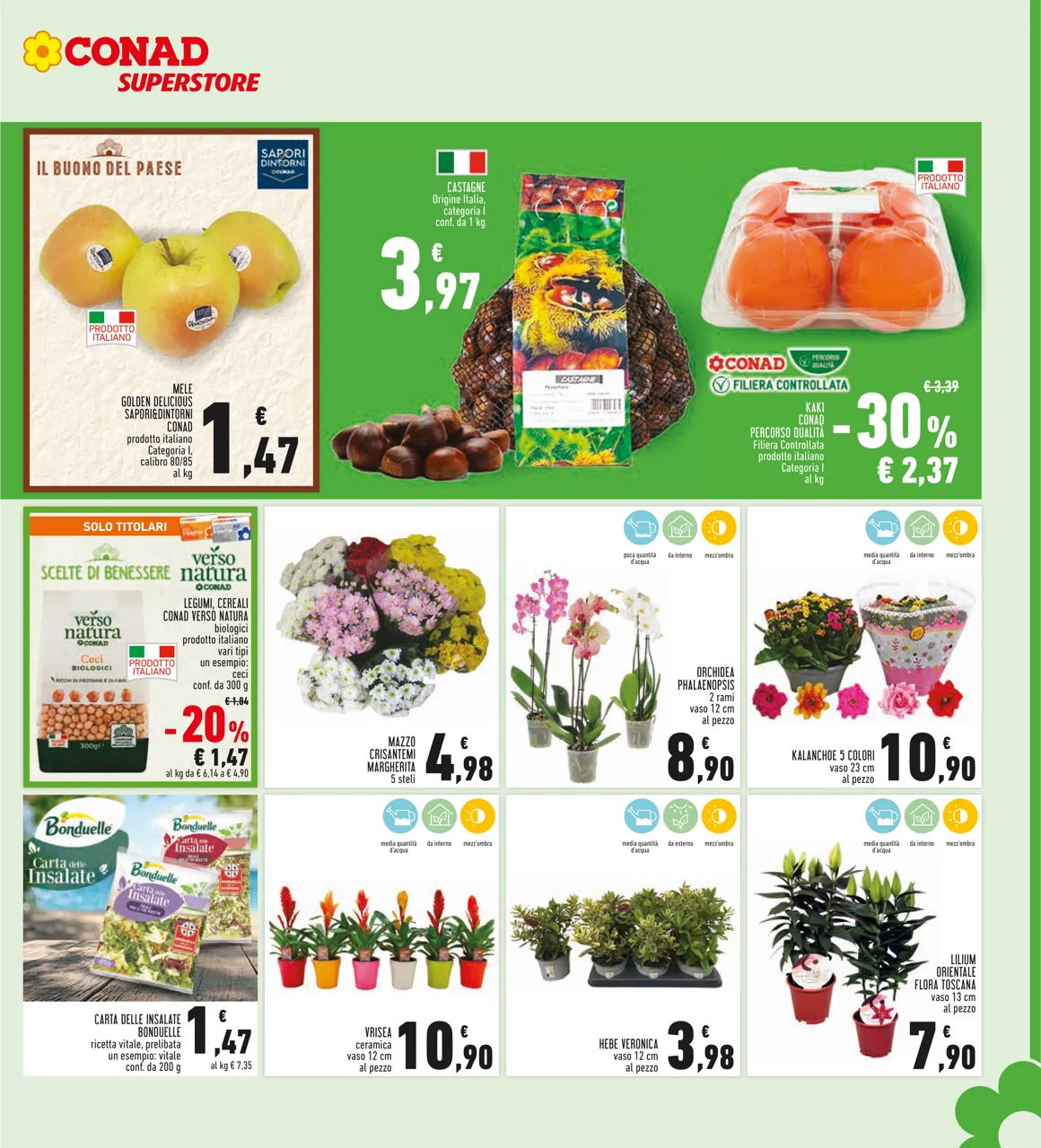 Pagina 7