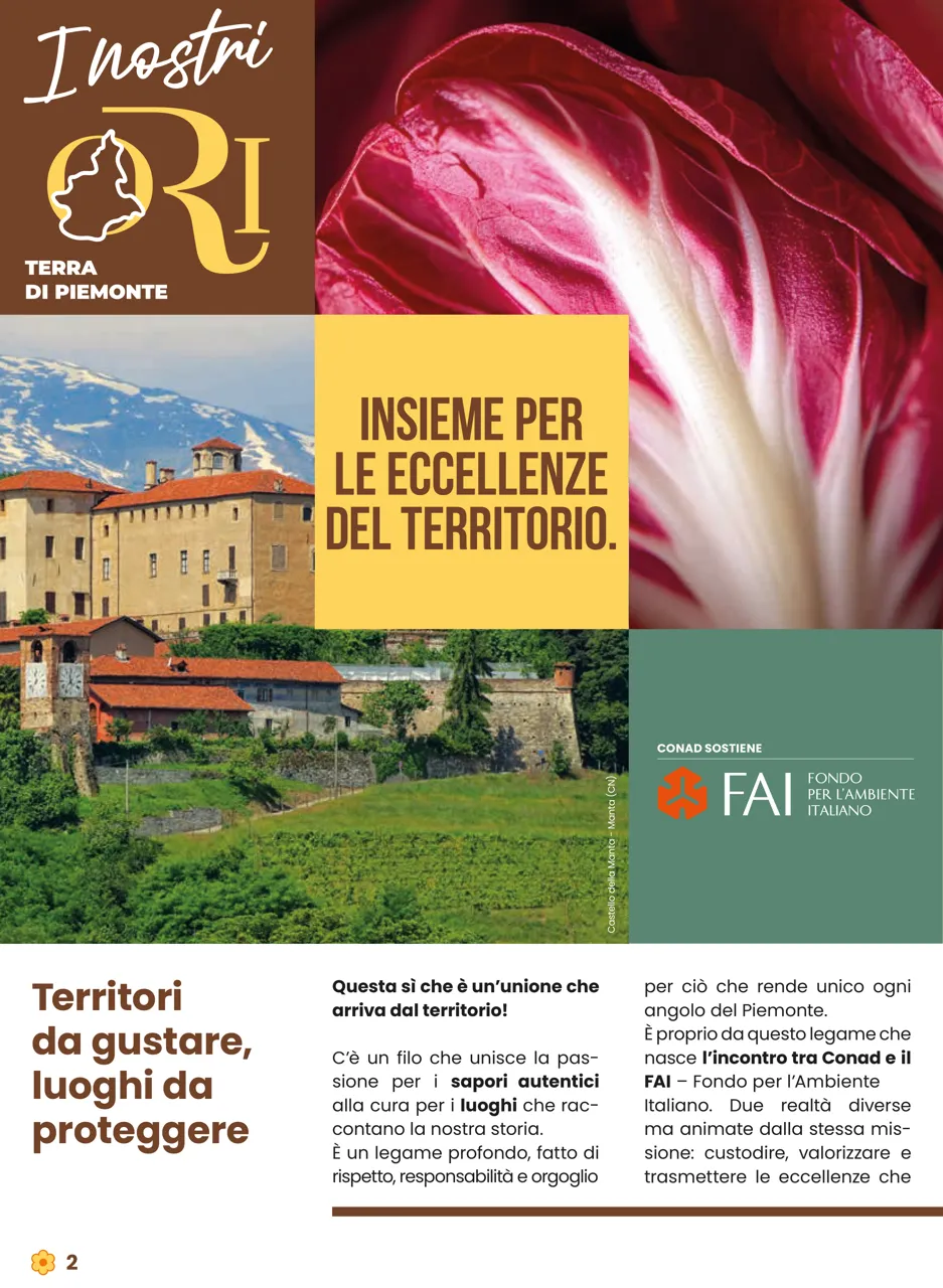 Pagina 2