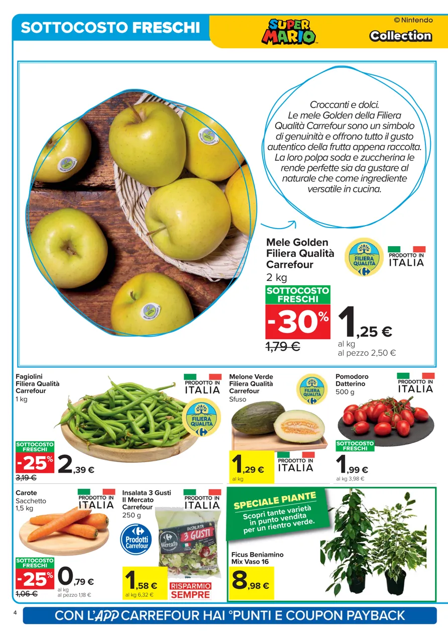 Pagina 4
