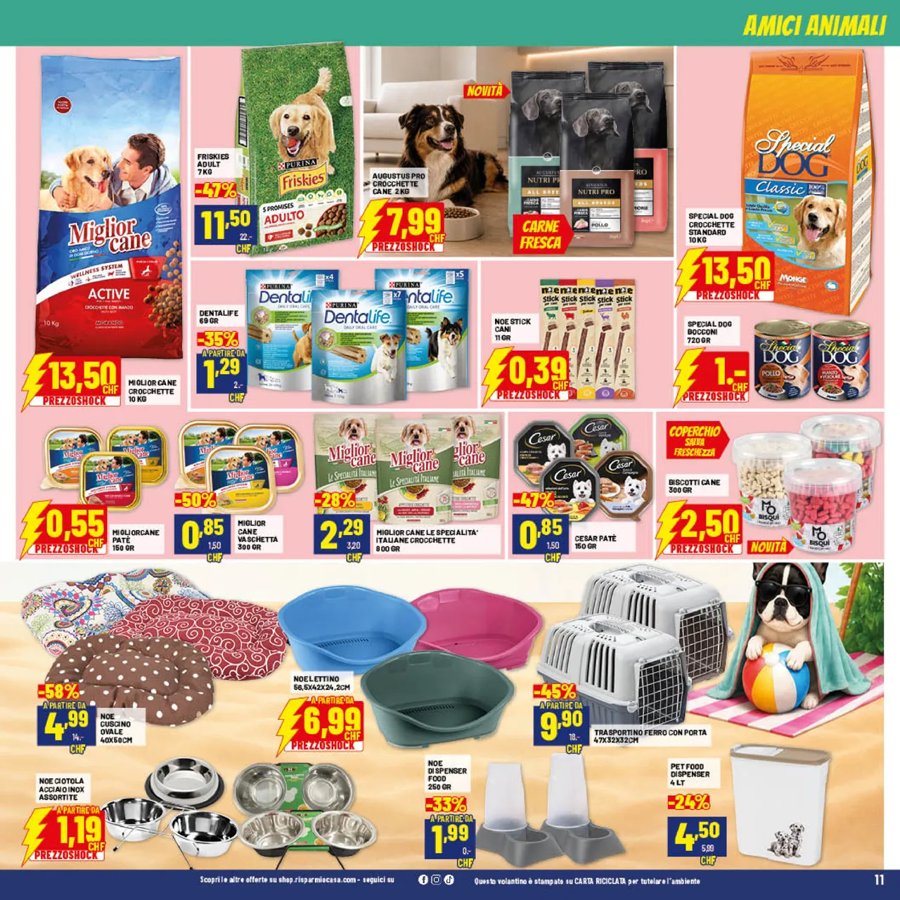 Pagina 11