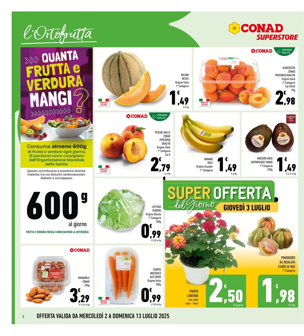 Pagina 8