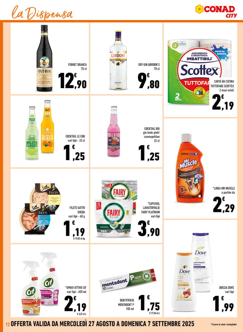 Pagina 12