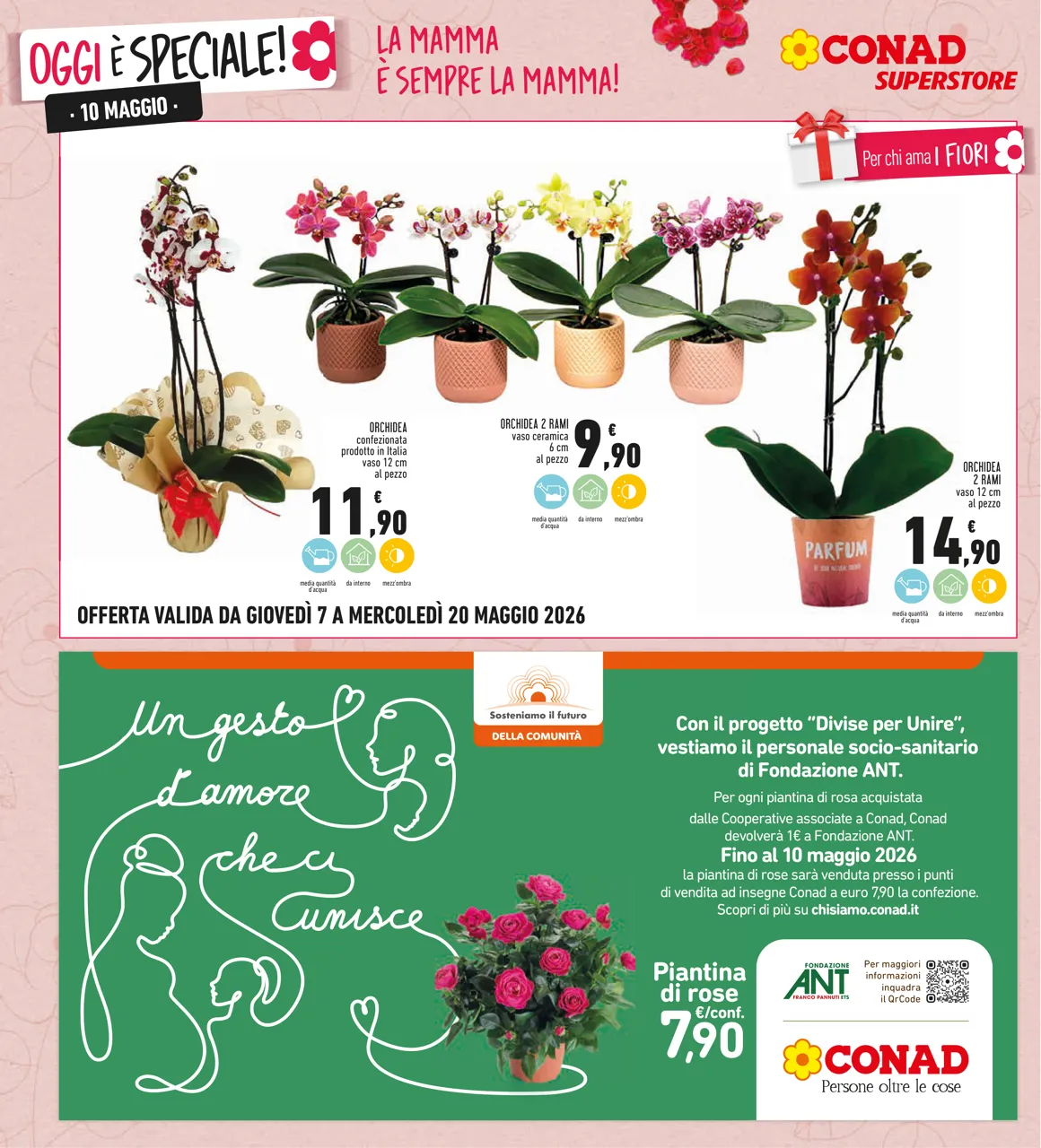 Pagina 10