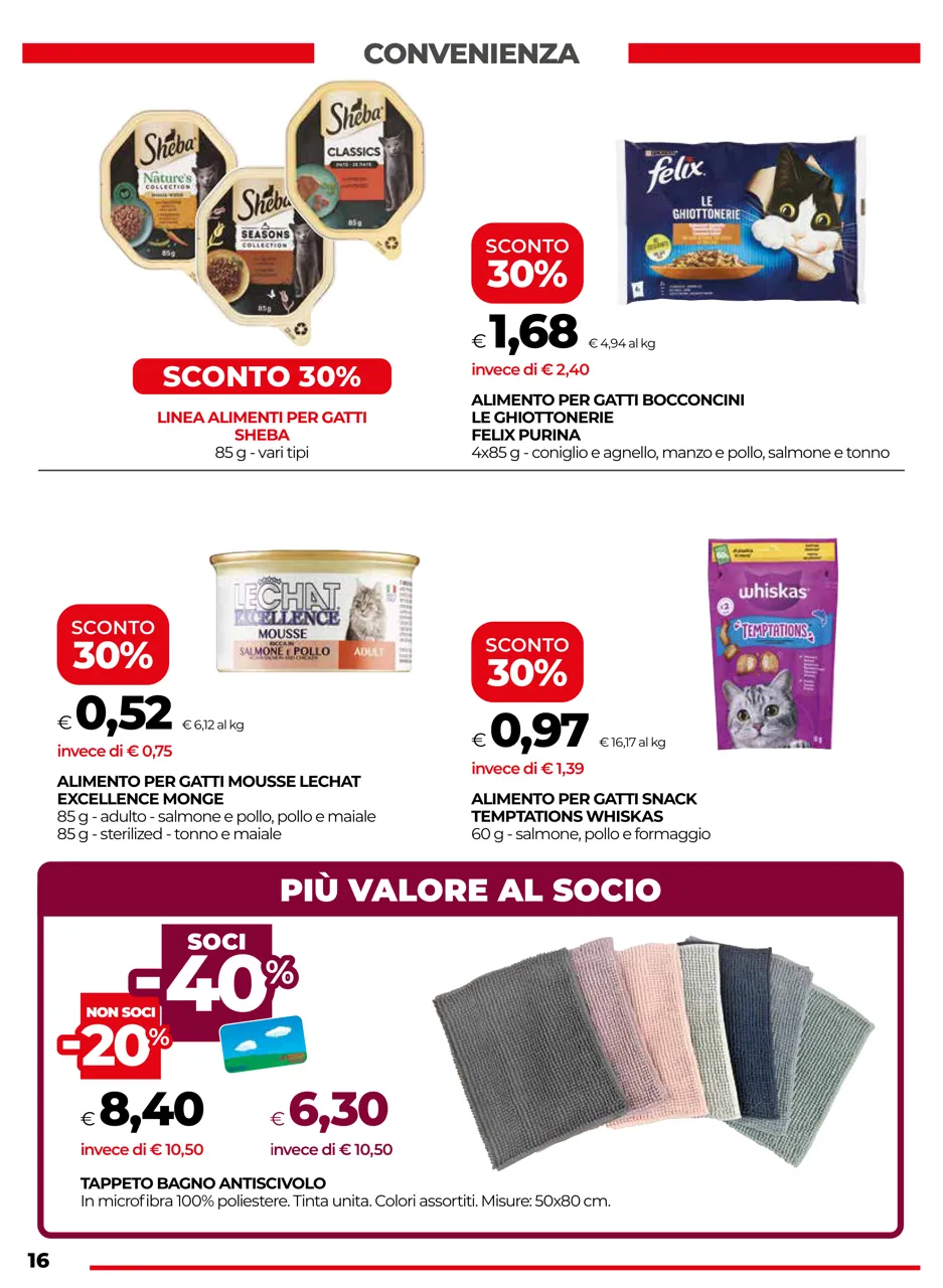 Pagina 16