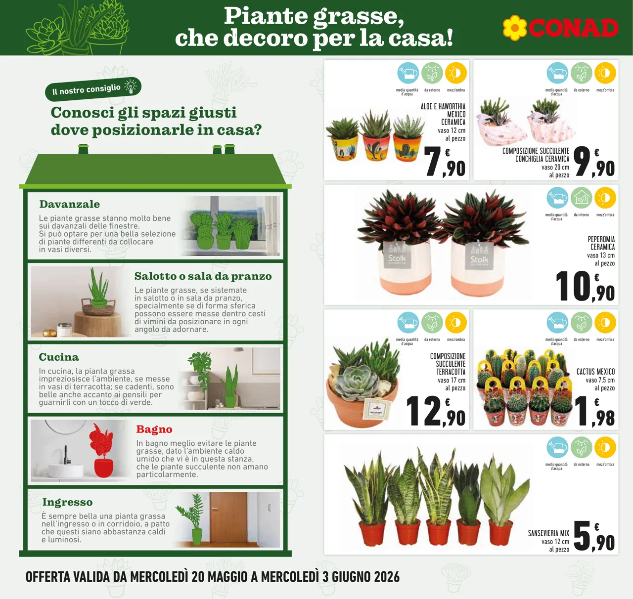 Pagina 22
