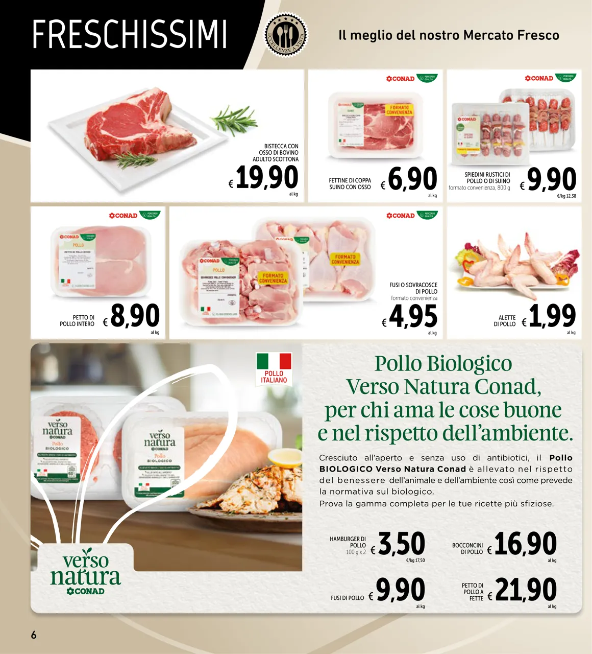 Pagina 6