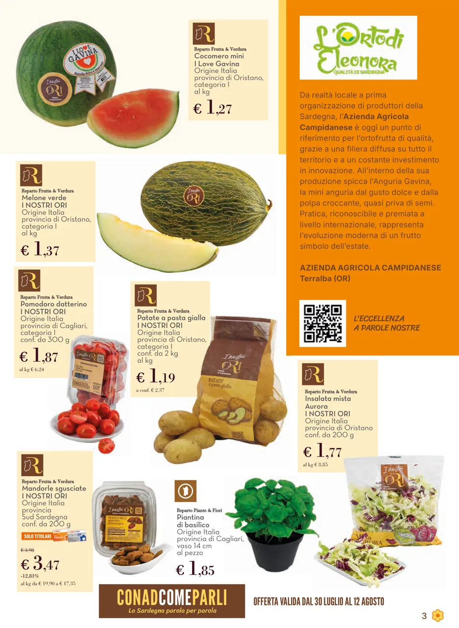 Pagina 3