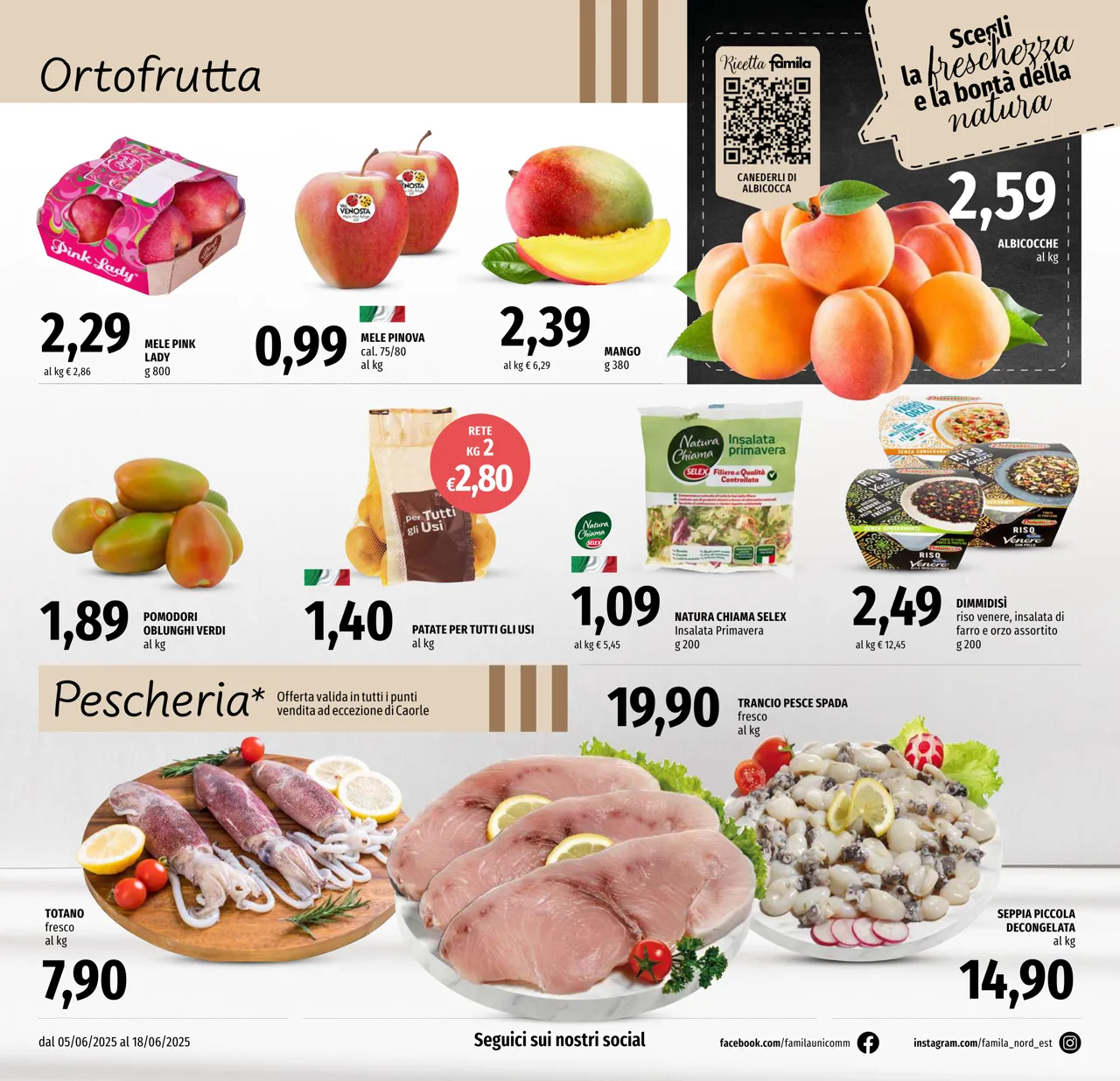 Pagina 6