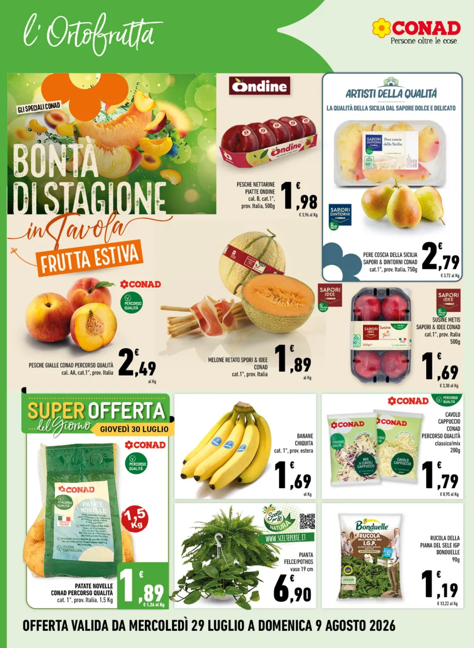Pagina 2