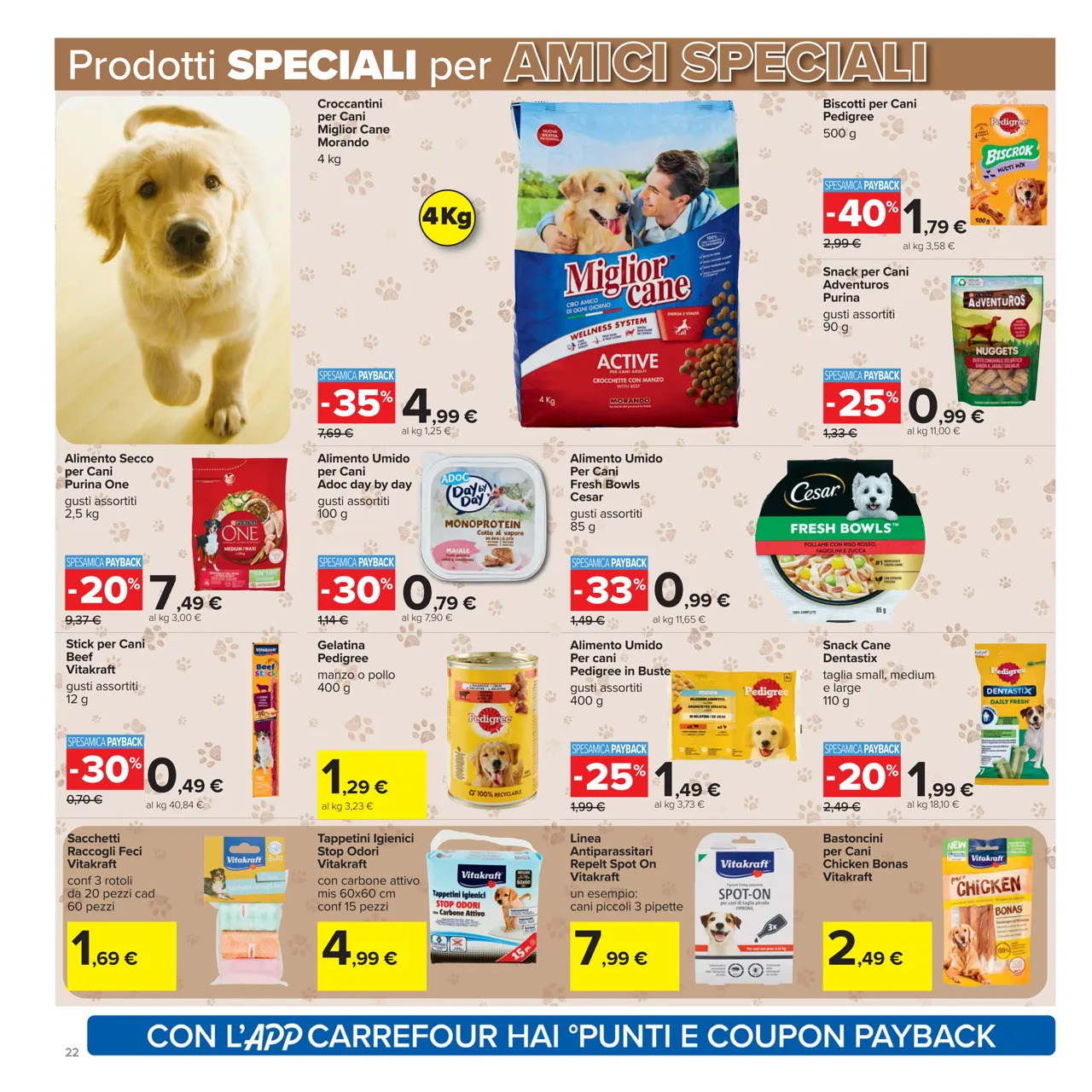Pagina 22