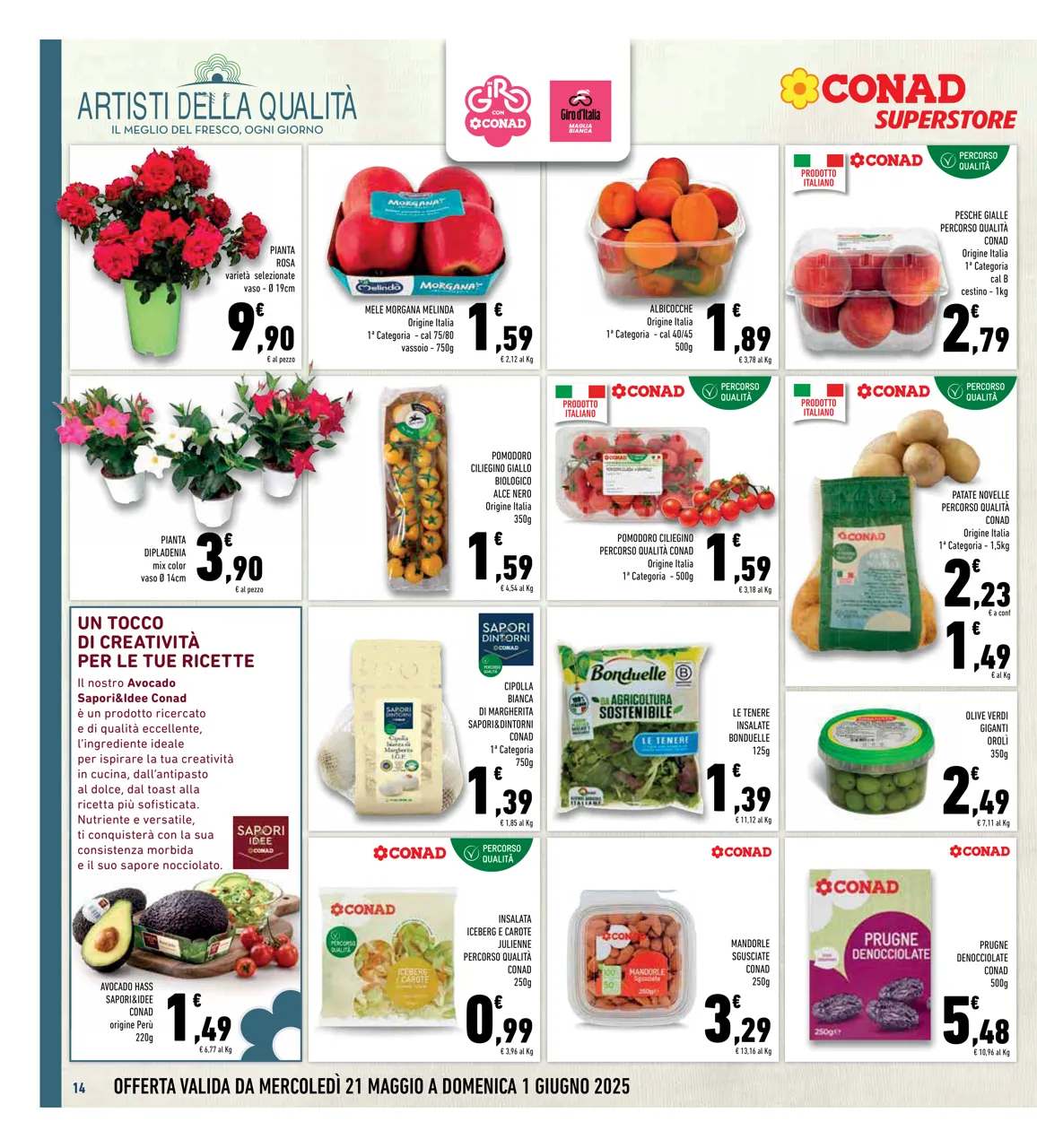 Pagina 14