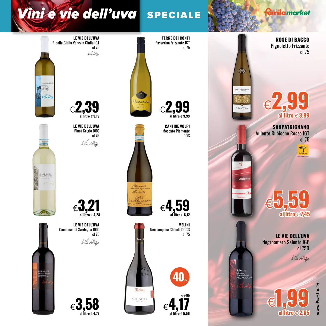 Pagina 13