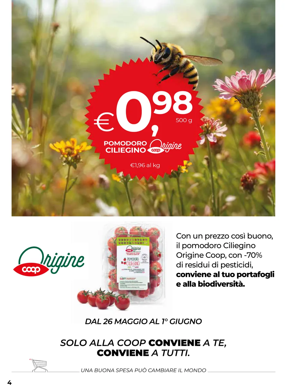 Pagina 4