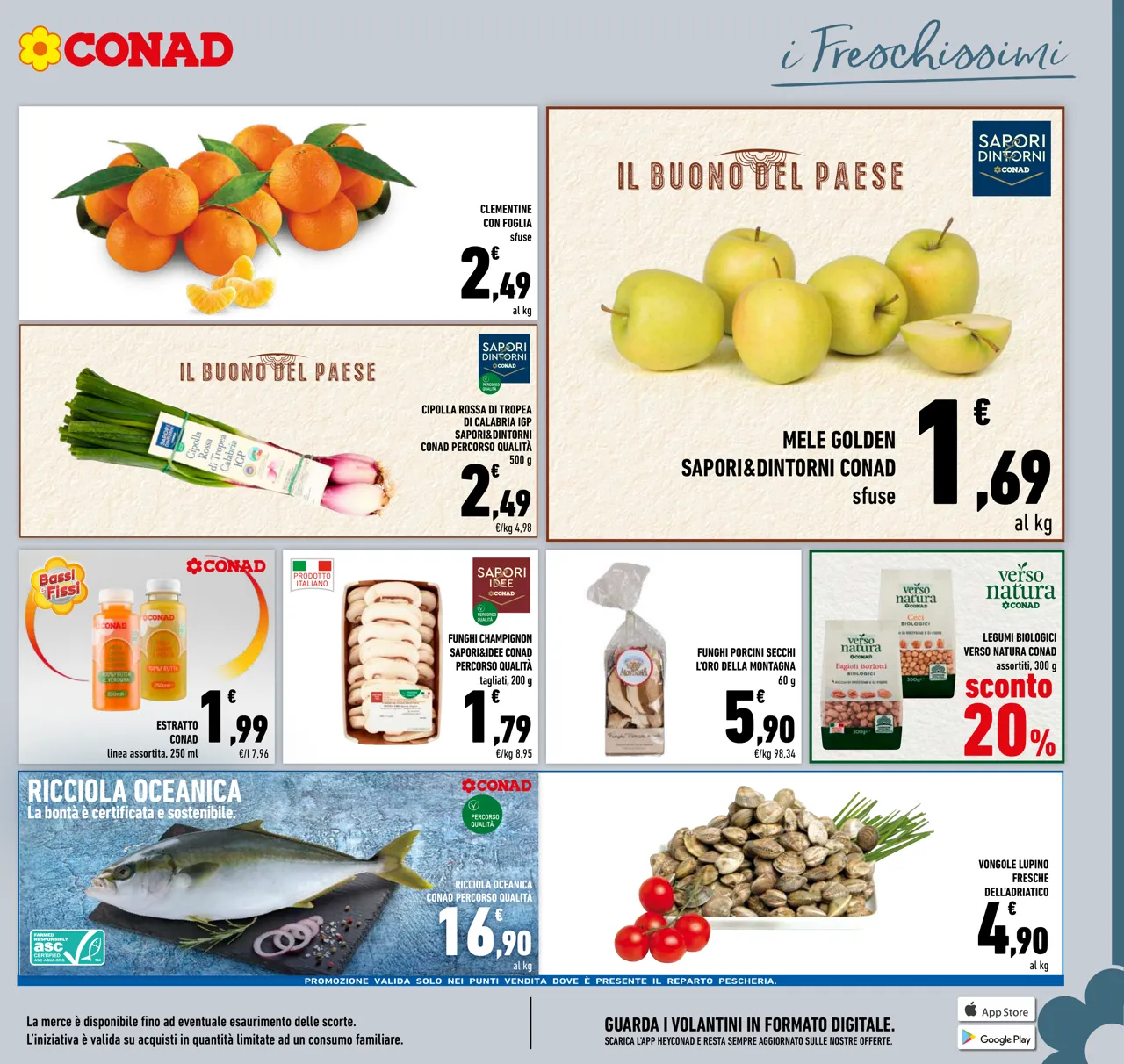 Pagina 17