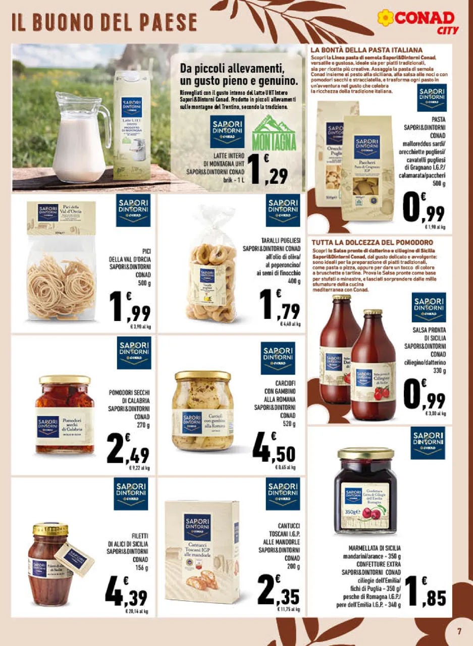 Pagina 7