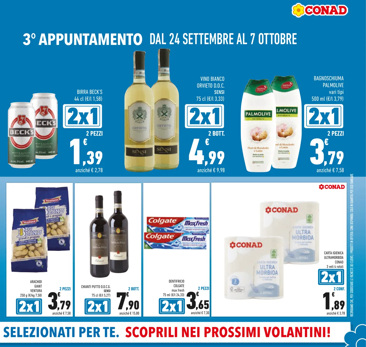 Pagina 7