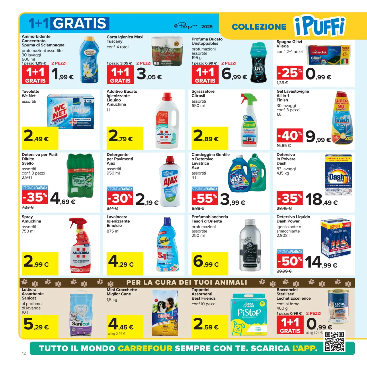 Pagina 12