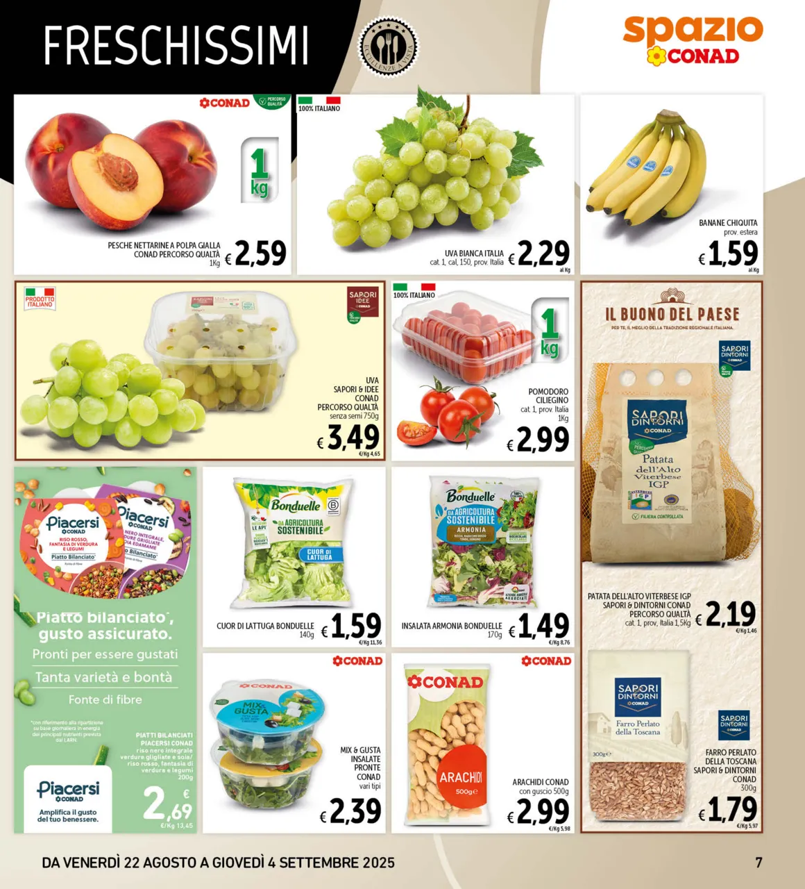 Pagina 7