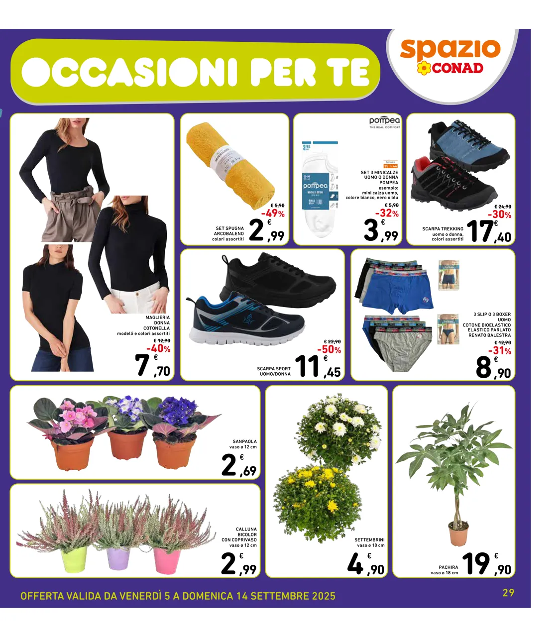 Pagina 29